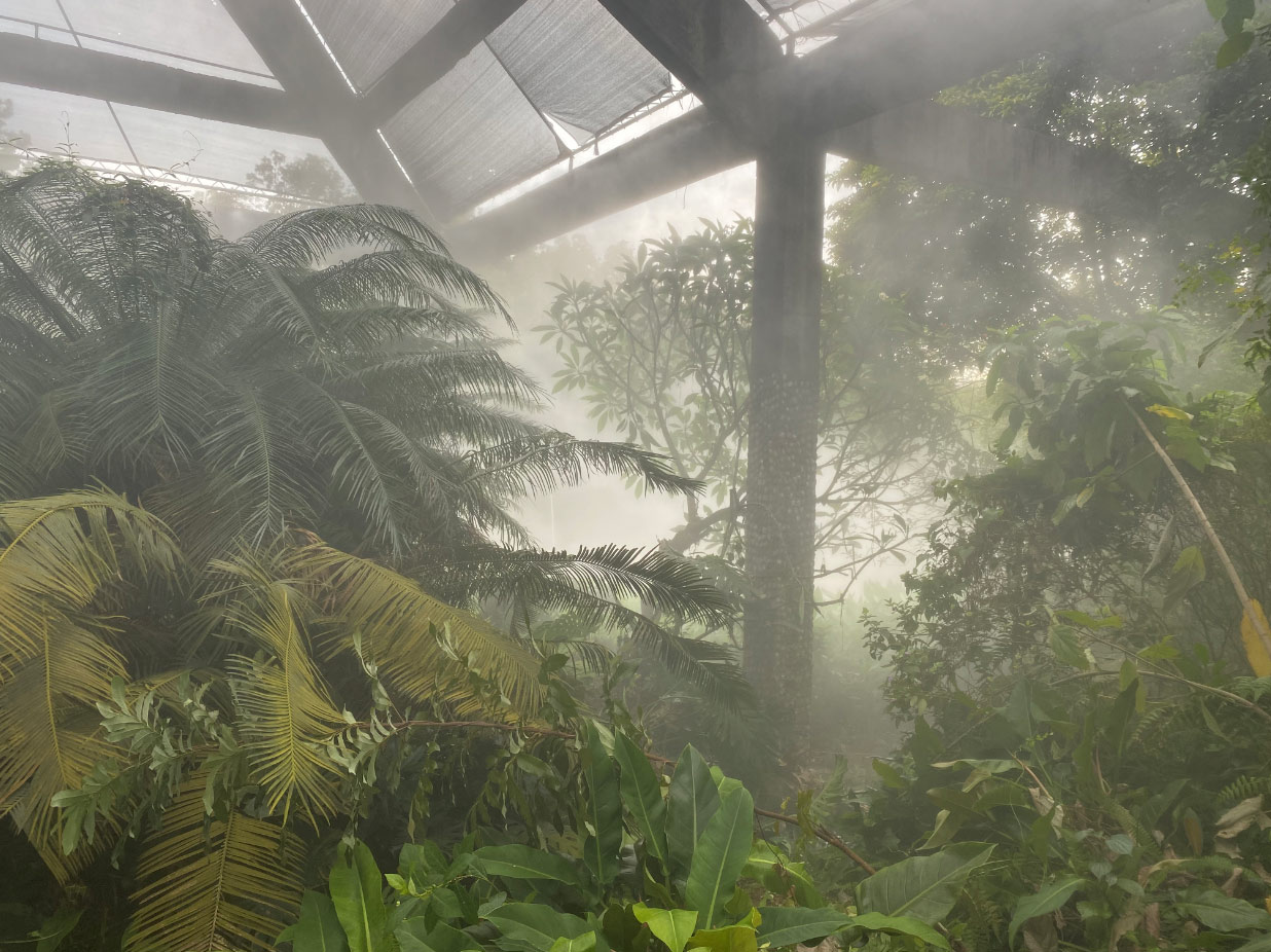 湛江南国热带花园喷雾降温系统